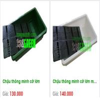Mới về chậu thông minh cỡ lớn, gấp 2.5 diện tích trồng cây